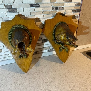 Animal preparations fish head preparation fish head 2 pieces