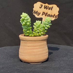 I Wet My Plants - Wooden Plant Stake