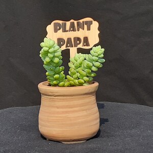 Plant Papa - Wooden Plant Stake