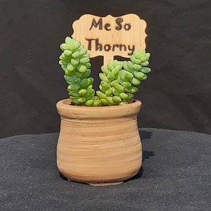 Me So Thorny - Wooden Plant Stake