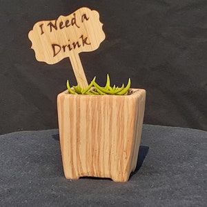 I Need a Drink - Wooden Plant Stake