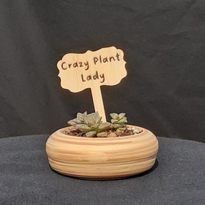 Crazy Plant Lady - Wooden Plant Stake