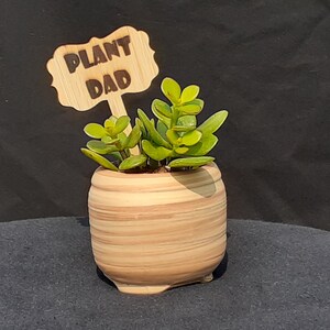 Plant Dad- Wooden Plant Stake