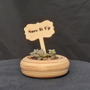 Succ It Up - Wooden Plant Stake