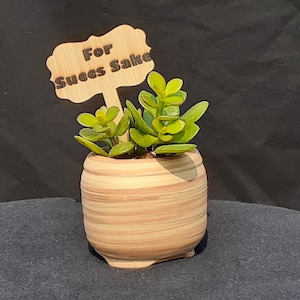 For Succs Sake - Wooden Plant Stake
