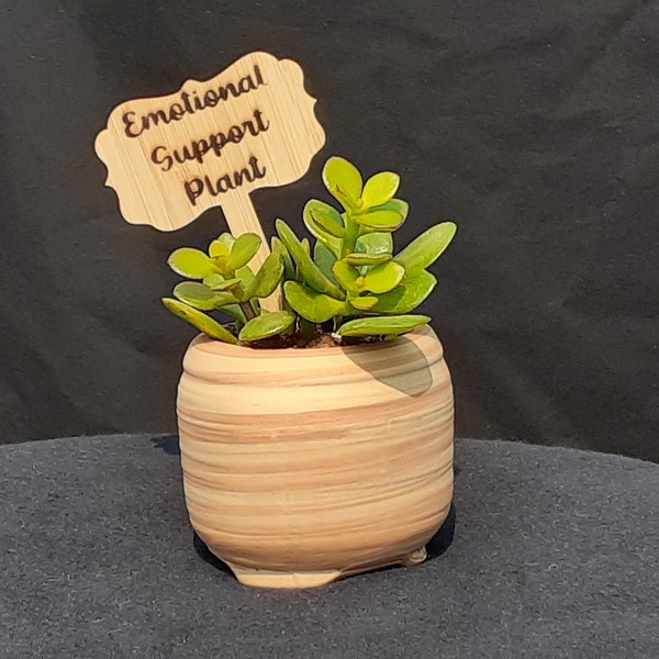 Emotional Support Plant - Wooden Plant Stake