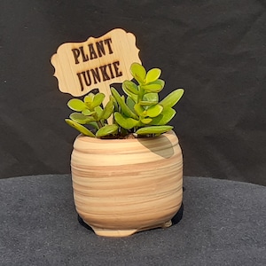 Plant Junkie - Wooden Plant Stake