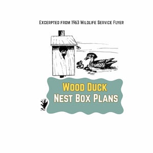 Wood Duck Nest Box Plans (PDF, 2 Plans, Instructions, Diagrams, Materials)