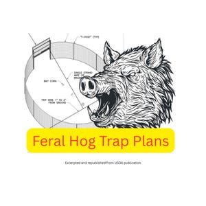 Könnte beinhalten: Schwarz-Weiß-Illustration eines Wildschweins mit offenem Maul, neben einer Zeichnung einer kreisförmigen Falle. Der Text "Feral Hog Trap Plans" befindet sich auf gelbem Hintergrund. Das Bild enthält Text über Köder und Draht.
