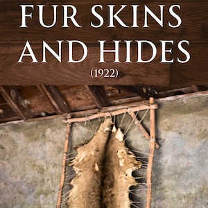 Könnte beinhalten: Ein gegerbtes Tierfell, das auf einem Holzrahmen gespannt ist und an einer verwitterten Wand hängt. Der Text "FUR SKINS AND HIDES (1922)" wird darüber vor einem dunklen Holzgrund angezeigt.