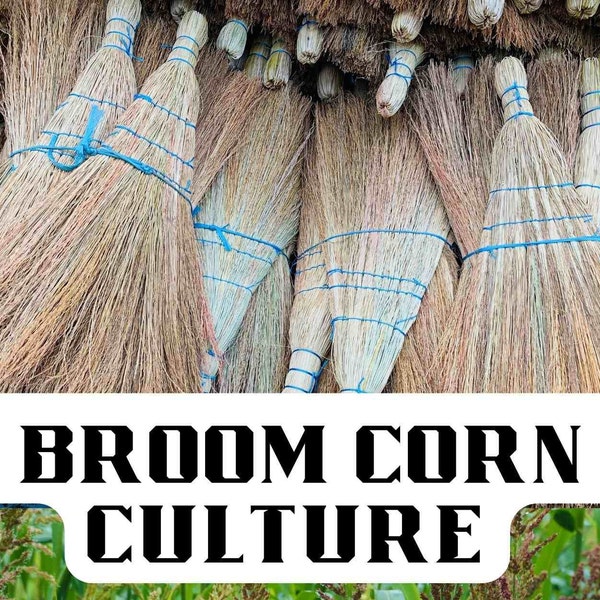 Broom-corn Culture (1912 republication, PDF electronic file, downloadable ebook)