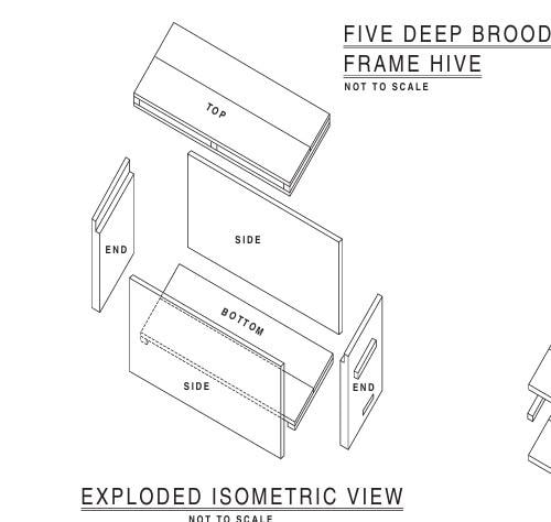 Vintage Beehive Frame Plans (downloadable PDF File, 1-page, Republished ...