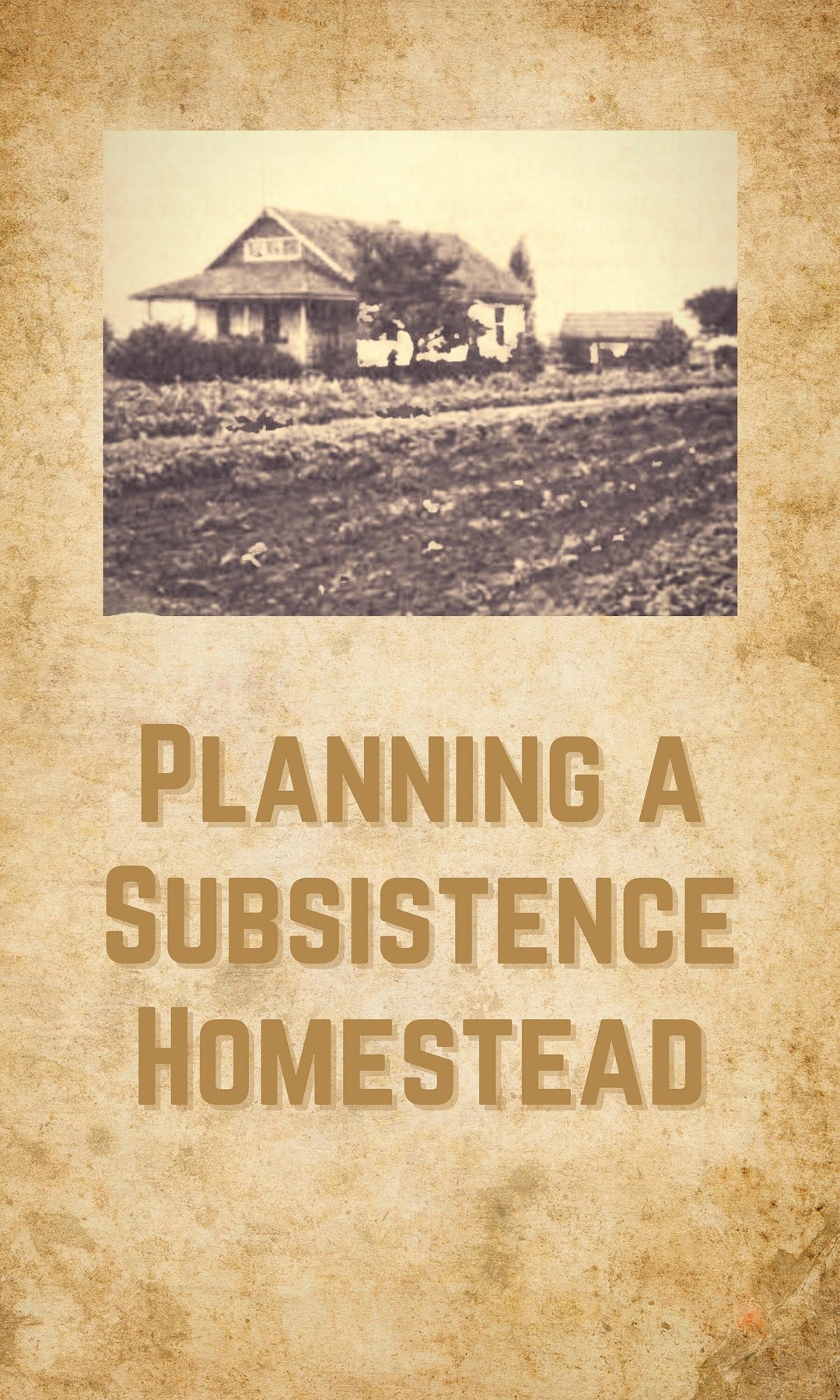 Vintage Planning a Subsistence Homestead Book ebook, Pdf File, Diy Off