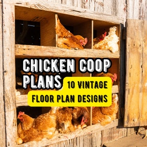 Vintage Chicken Coop Floor Plan Desings: 10 Designs (pdf downloadable for phone, tablet, or PC, printable)