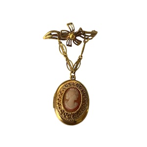 May include: A vintage gold-toned cameo pendant necklace. The oval pendant features a carved profile of a woman in a cream color against a reddish-orange background. The pendant is suspended from a decorative bow-shaped brooch with a chain.