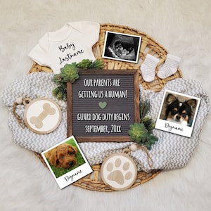 Pregnancy Announcement Dogs, Baby Announcement Dogs, Dog Big Brother, Dog Big Sister, My Parents are Getting Me a Human, Digital Pregnancy