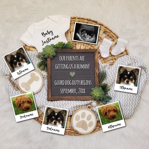 Annonce de grossesse 5 chiens, annonce de bébé chiens, chien grand frère, chien grande sœur, mes parents m’obtiennent une grossesse humaine, numérique