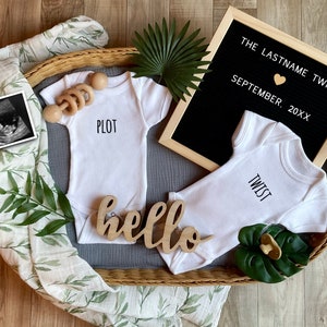 Plot Twist Digital Pregnancy Announcement, Twins Announcement, Funny Twins Announcement,  Edit Yourself Pregnancy Announcement, Twin Reveal