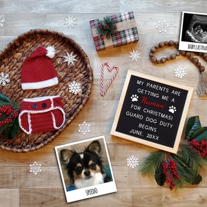 Digital Christmas Pregnancy Announcement with Dog, Dog Pregnancy Announcement, My Parents Are Getting Me a Human, Christmas Pregnancy Dog