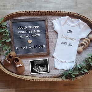 Could Be Pink, Could Be Blue Pregnancy Announcement Digital/ Minimalist Baby Reveal/ Gender Neutral Baby Reveal/ Simple/ Editable