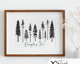 minimalist | gifts | holiday decor | christmas wall art | christmas art | printable wall art | Douglas Fir | Christmas Tree