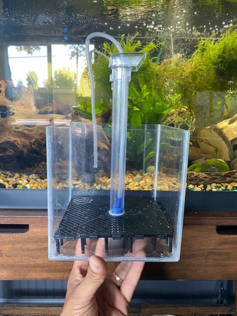 May include: A clear, rectangular aquarium filter with a black grate and a clear tube with a curved hose. The filter is partially submerged in water, with a lush green aquatic plant background. The filter is held by a hand.