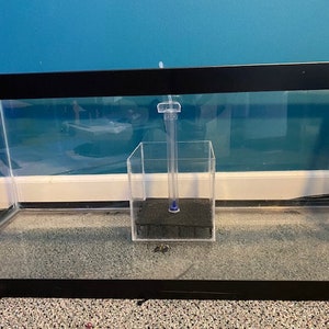 May include: A clear glass aquarium with a black frame, set against a blue wall. Inside, a clear plastic cube houses a black filter sponge and a vertical tube. The aquarium sits on a speckled surface.