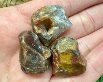 Lake Superior Agate Trio: 3 Raw Beauties from the Great Lakes