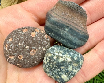 The Raw Rock Rascals: Basalt with Bling, Epic Epidote-Chalcedony & Striped Basalt Bandit