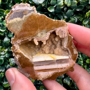 May include: A cross-section of a geode, showcasing a cavity filled with crystalline formations. The outer layer is a mix of brown and tan hues, while the interior features a cluster of beige crystals and a white, layered base. The geode is held by a hand.