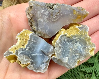 Holly Blue Agates from Oregon