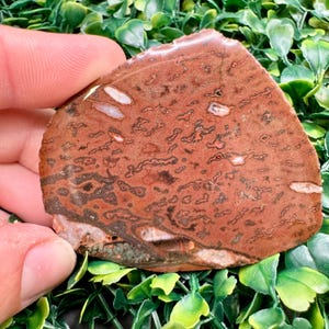 2.6oz Polished Thunder Egg Half – Red Rhyolite Matrix with Druzy Quartz & Fortification Agate – Resin Finish
