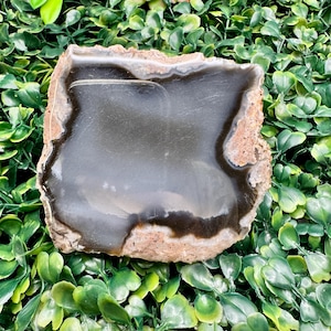 10.8 oz Thunder Egg Half – Resin Polished Face | Raw Rind | Volcanic Chalcedony Nodule