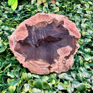 13.4 oz Thunder Egg Half – Resin Polished Face | Raw Rind | Volcanic Chalcedony Nodule