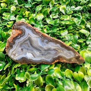 3.2oz Lake Superior Shaped Fortification Agate Slab – Gray & Black Banded – Hand Polished on Flat Lap