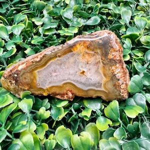 3.9oz Jasper Matrix Agate with Druzy Center—Resin Enhanced Half