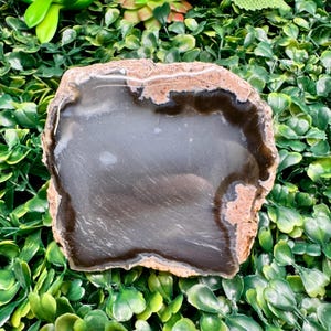 11.5 oz Thunder Egg Half – Resin Polished Face | Raw Rind | Volcanic Chalcedony Nodule