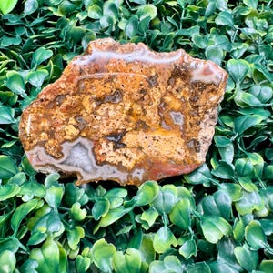 4.2oz Jasper Matrix Agate Slab – Brown, Yellow & Gray Fortification Bands—Resin Enhanced