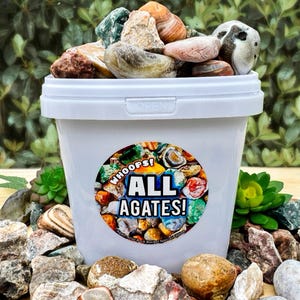 5 lbs Mixed Agate Bucket | Lake Superior, Botswana, Crazy Lace, Moss Stones