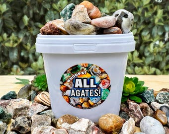 5 lbs Mixed Agate Bucket | Lake Superior, Botswana, Crazy Lace, Moss Stones