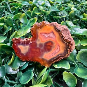 Resin Enhanced Orange-Banded Agate Slice – Deep Color Layers with Raw Back