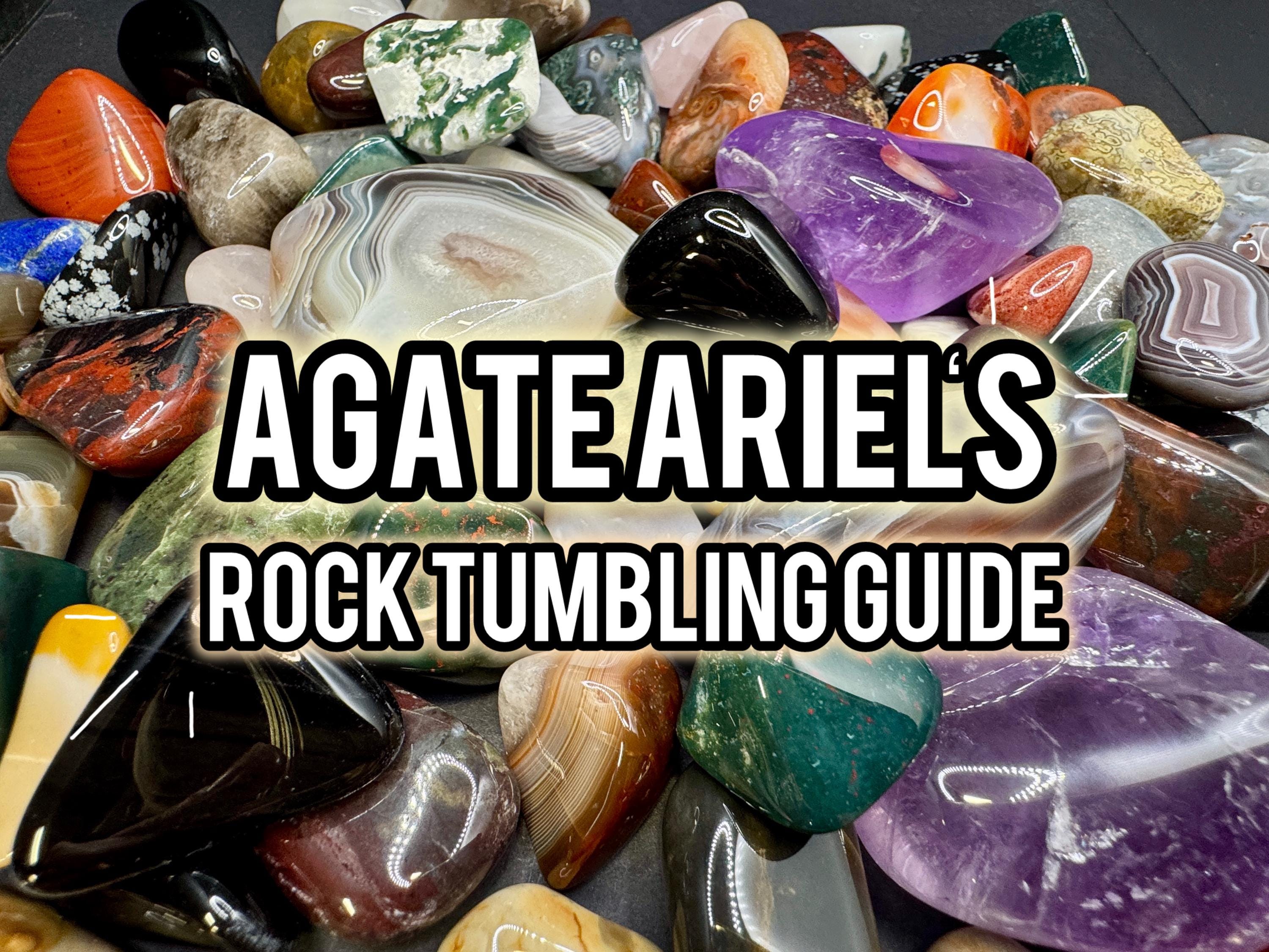 2 Lb Bulk Lot Natural Rough Tree Agate (Raw Crystal Rock Mineral 4500 Carats) E