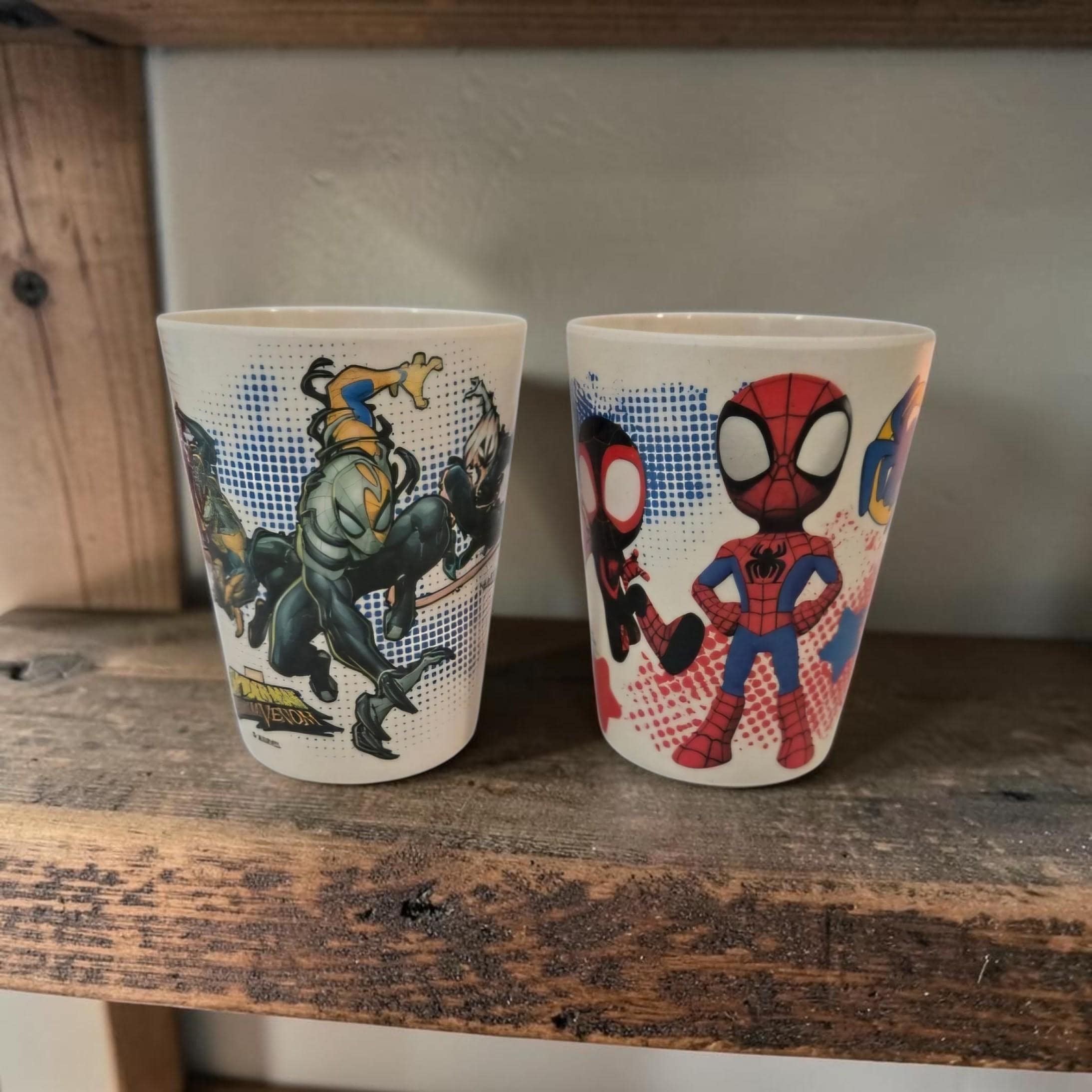Zak Designs 10 Fl Oz Spidey and His Amazing Friends Melamine