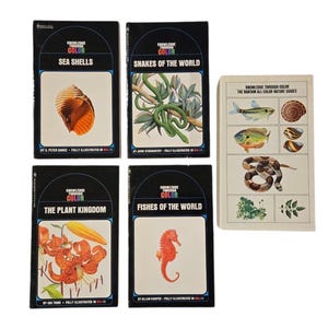 May include: Four vintage "Knowledge Through Colour" books and a guide. Titles include "Sea Shells," "Snakes of the World," "The Plant Kingdom," and "Fishes of the World." The guide features various illustrations of sea creatures and plants.