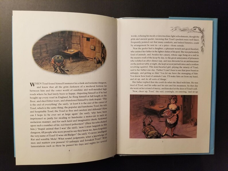 The Wind in the Willows Vintage Book - Etsy