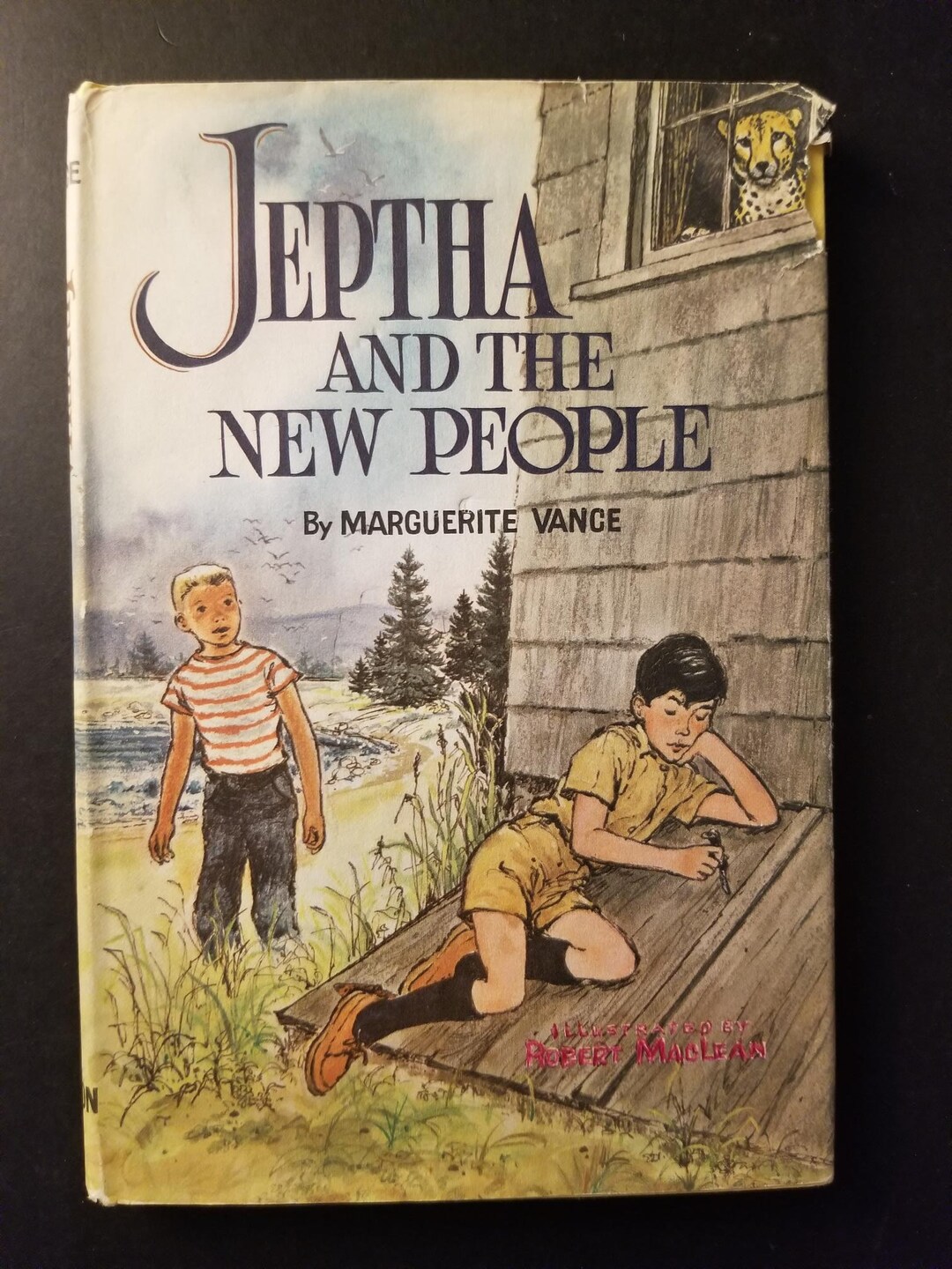 Jeptha and the New People Vintage Book Etsy
