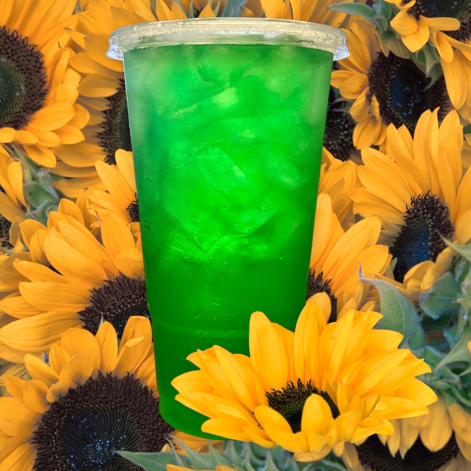 Loaded Tea Go Packs 5 for 25.00 Herbal Energy Tea, Lit Tea, Mega Tea