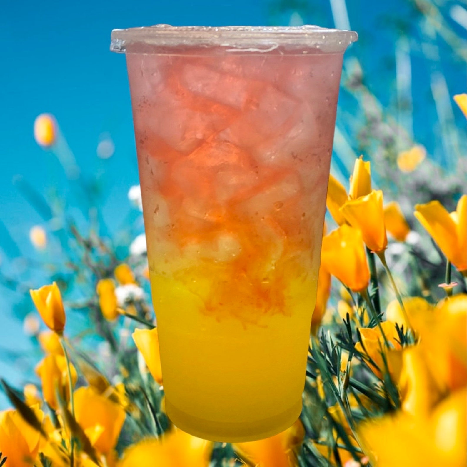 Loaded Tea Go Packs 5 for 25.00 Herbal Energy Tea, Lit Tea, Mega Tea