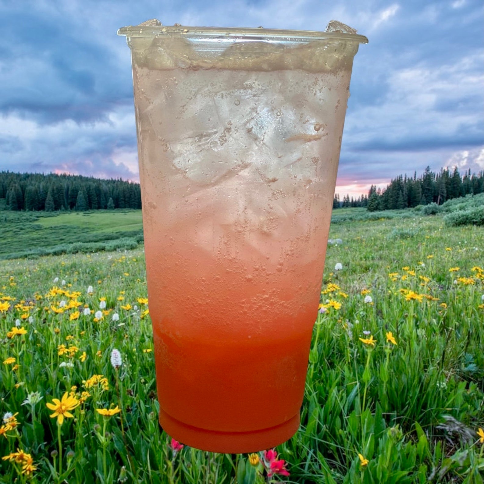 Loaded Tea Go Packs 5 for 25.00 Herbal Energy Tea, Lit Tea, Mega Tea