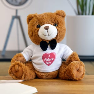 Teddy Bär mit T-Shirt